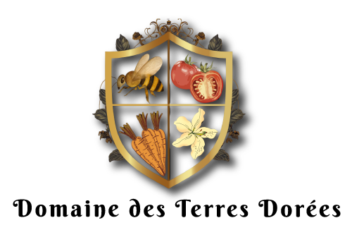 Logo DOMAINE DES TERRES DORÉES